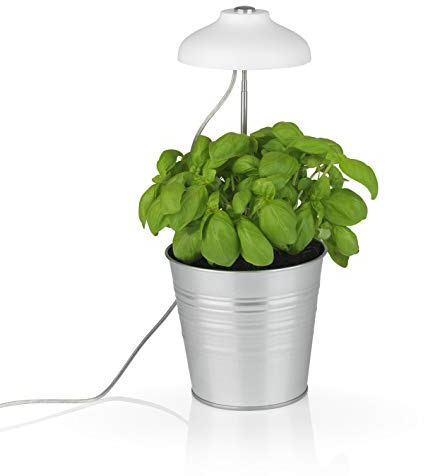 MAXXMEE LED-Pflanzenleuchte mit Teleskopstab | Optimale Lichttemperatur durch weiße & Pinke LEDs für das Pflanzenwachstum | Einfache Befestigung, inkl. 3 Clips zum fixieren | Mit Timerfunktion [weiß]