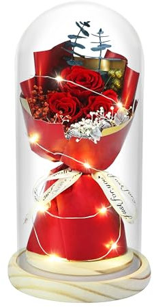 HVY Konservierter Blumenstrauß für sie, konservierte echte Rose, Geschenk für Ehefrau, Freundin, Mutter, Oma, leuchtende Rose in Glaskuppel für Geburtstag, Jahrestag, Valentinstag, Hochzeit, rote
