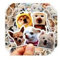 50 PCS. Paquete de pegatinas meme divertidas de vinilo, impermeables. Stickers de moda, populares, creativas y motivacionales. Para todo tipo de usos. Tamaño entre 2 y 4 cm. Temática Perros
