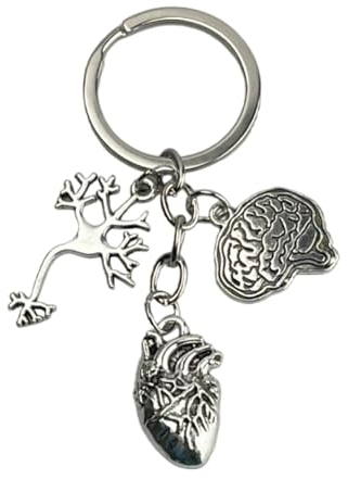 Schlüsselanhänger für Neurologe, Chirurgie, mit Neuron, Gehirn und Herz, Operation mit Metall und Zink, Schlüsselzubehör für Chirurgen, Studenten, Lehrer, Labore usw. – Unisex-Schlüsselanhänger für