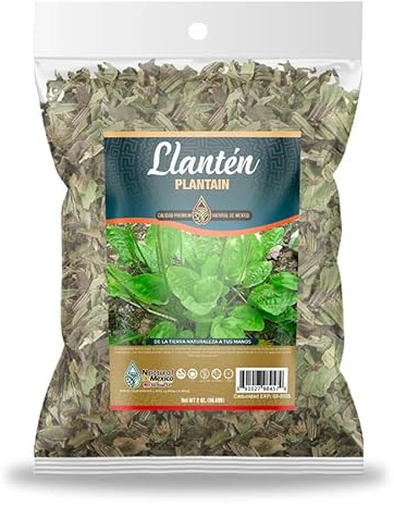 Llanten Plantain Herb Herbal Tea 4 oz.-113g Natural Mexican Herb Hierba Wild Crafted