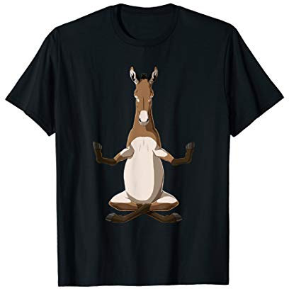 Esel Geschenke