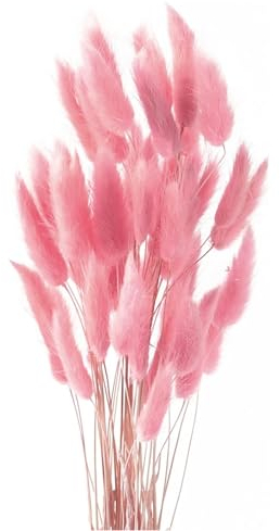 Yeehliny Pflanzenstiele, ländlicher Stil, Hasenschwanz Trockenblumen Deko ewig haltbar Pampasgras & getrocknete Blumen Pampasgras Trockenblumenstrauß Vase Deko,50 Stück (Rose)