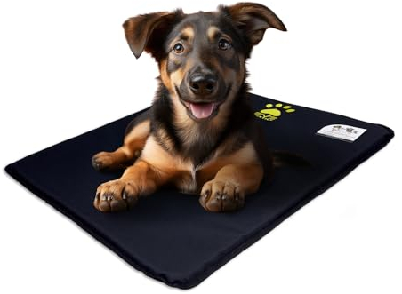 EVE Textile Hundematte | Katzenmatte | Hundekissen | Katzenkissen | Hundebett | Katzenbett | Matte für Hunde und Katzen | Beidseitig Verwendbar | Atmungsaktiv | Kühlend | 50x70x2 cm (Schwarz)