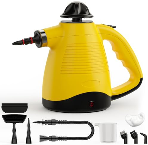 Nettoyeur Vapeur, Nettoyant Vapeur Ménager, Nettoyeur Vapeur Multifonctionnel avec 8 Accessoires pour les Sols, les Meubles, les Voitures, les Salles de Bains, les Fenêtres et les Cuisines