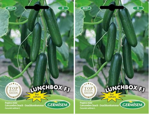 Germisem Lunchbox F1 Pepino 5 Semillas (Paquete de 2)