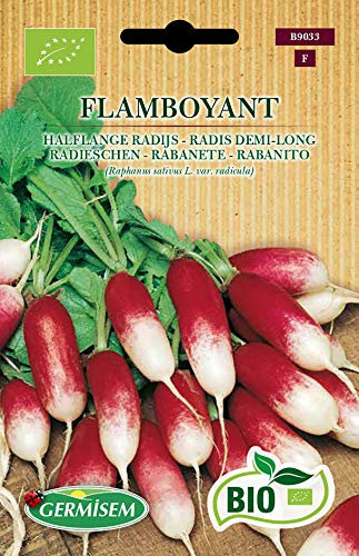 Germisem Bio Flamboyant Graines de Radis 5 g ECBIO9033 Multicolore