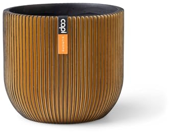 Capi Europe - Pot Boule Groove Black & Gold - 17x15 - Or - Ouverture Ø15 - Pot pour l'intérieur - BGVGB133