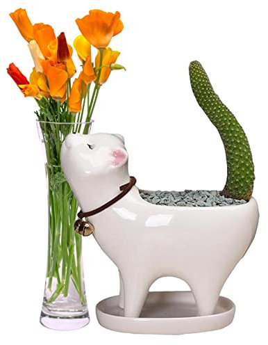 Pomurom Katzenpflanzer | Sukkulenten-Übertopf Katze Sukkulenten-Töpfe mit Ablaufloch Katzenschwanz | Katzen-Pflanzgefäß, Blumentopf für den Balkon des Bürohauses