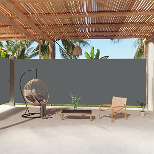 WIFESE 220x1000 cm Tenda da Sole Laterale Retrattile Tende da Esterno Paravento per Balcone Separe Divisorio Esterno Anti UV per Patio e Balcone Antracite Tessuto Avvolgimento Automatico