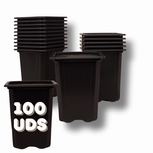 GROWMANIA Pack 100 Macetas Negras Cuadradas para Plantas 8 x 7 x 7 cm - 100 Maceteros de Plástico para Flores 8 x 7 x 7 cm - Ideal Exterior e Interior Flores, Esquejes y Semillas