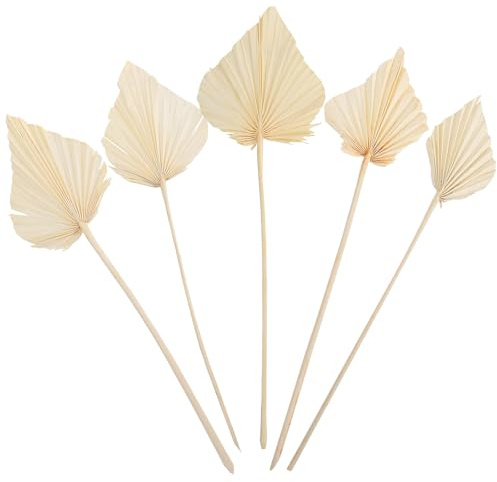 Hojas de Palma Secas Color Marfil 5 Piezas para Arreglo Floral | Adorno para Bodas y Fiestas, Decoración de Verano, Diseño Escénico para Espacios
