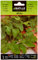 Battle - Semi Aromatici Insalata Rucola (Semi - 10-15Cm)
