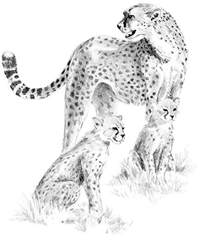 Royal Brush Sketching Made Easy Kit 9X12-Cheetah & Cub