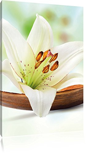 Pixxprint Schöne Lilie Blüte auf Holz, Größe: 100x70cm, Leinwandbild, fertig gespannt, Wandbild, Dekoration, Kunstdruck, kein Poster