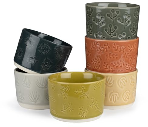 PARMEDU Lot de 6 Ramequins en Céramique: Petits Bols en Porcelaine de 230 ml pour la Cuisson – Ramequins à Soufflé/Tasses pour Puddings, Soufflés, Glaces, Passent au Lave-Vaisselle et au Four