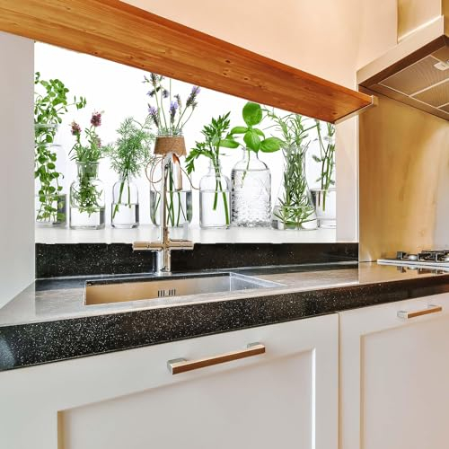 Kiwistar - Küchenrückwand - 80x40 cm - viele Kräuter im Glas - Glaslaminat Kratzfest - Aufkleber Fliesenspiegel - Küche - Fliesen - Design - Renovierung - Küchenfolie