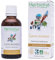 Herbiolys | Extrait De Plantes Fraîches Bio | Lierre terrestre (Glechoma hederacea) | Respiration | Phytothérapie Bio | 50 ml