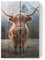 artboxONE Holzbild 30x20 cm Typografie Highland Cow in Nature von Künstler Edition