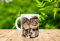 Genérico Taza dibujos animados Up, enamorados, parejas, Eres la casualidad mas bonita que llegó a mi vida