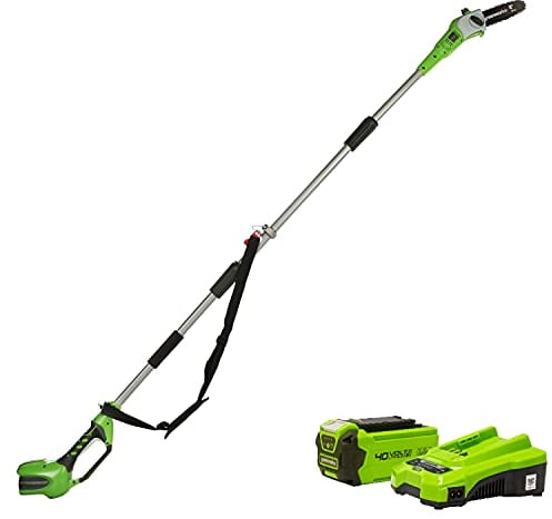 Greenworks Battery Tall Probe G40PS20K2 (Li-Ion 40V 20cm lunghezza sciabola 20cm lunghezza 8 m/s velocità catena telescopica palo ausiliario telescopico 3 pezzi di cui 2 Ah batteria e caricabatterie)