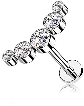 BlackAmazement 316L Edelstahl Piercing Helix Cartilage Ohrstecker Barbell 5-Runde CZ Zirkonia Curve Gebogen 6mm 8mm Silber Klar Pink Rose Gold Schwarz Damen (Farbe Silber - Stablänge 8mm)