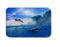A.Monamour Badematten Badteppiche Badvorleger Blauen Ozean Meer Nautischen Thema Delphin Surfen Auf Wellen Blauen Himmel Flanell Gummi Backing Bad Teppiche Boden Matten Für Bad Zubehör