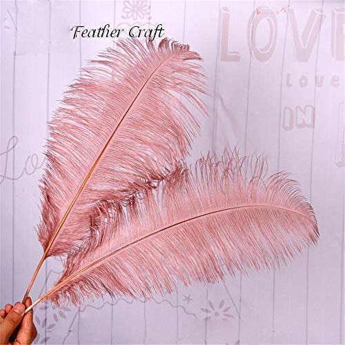 Selene 10 Pcs Dyed Large Ostrich Feathers Plume DIY Wedding Party Table Christmas Carnival Decorations Centerpiece Millinery 16-18 / 40-45 cm length(Dusky Pink)