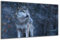 DARO Design - Wand-Bild auf 6mm HDF 70x50 cm Wolf Schnee - Wand-Deko Bilder Geschenk