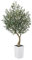 VeriNatural Olivier Artificiel 180 cm - Grande Plante Artificielle avec Pot Conique Blanc, Résistantes aux UV Fausse Plante - Décoration Maison, Bureau, Jardin, Extérieur Intérieur, VN137