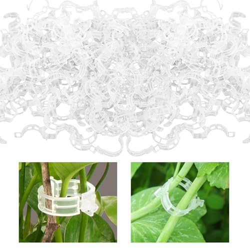 100 Stück Pflanzenclips für Kletterpflanzen, Kunststoff Pflanzenstütze, Transpare Pflanzen Clips, Gurken Rankhilfe, Pflanzenklammern Tomaten Rankhilfe, für Blumen Gemüse Tomate Pflanzen Befestigun