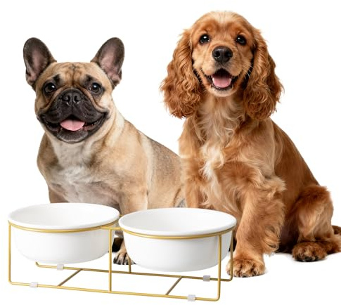 Elevated Dog Bowls for Food and Water - Double Ceramic Bowls with Metal Stand - Raised Feeding Station for Small and Medium Dogs - Each Holds 600ml / 3.2 Cups (Approx. 320g) - White