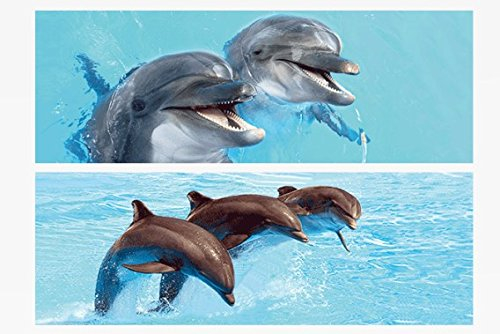 1x 3D Lesezeichen Delfine 15x5cm Tiere Wackelbild Wackelkarte Buchzeichen Bookmark Bücher Buch Delfin