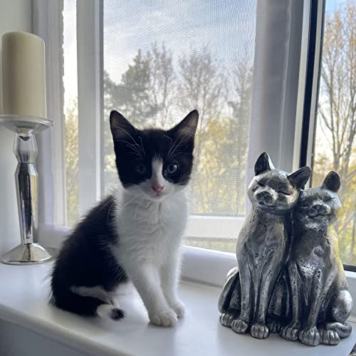 Flat Cats Window Screens - Four Pack - Selection of Sizes/Colours (60cm x 93cm, White Mesh/White Fixings)