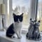 Flat Cats Window Screens - Four Pack - Selection of Sizes/Colours (60cm x 93cm, White Mesh/White Fixings)