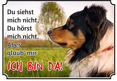 Petsigns Hundeschild Australian Shepherd - uv-beständiges Metallschild bis DIN A3, DIN A3