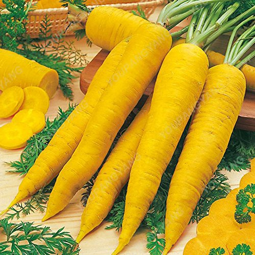 200pcs/bag Heiße Runde Karottensamen Bio-Gemüsesamen In Bonsai Delicious Food Außentopfpflanzen für Hausgarten-Grün