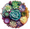 Mys Aurora Puzzles for Adults 1000 Pieces, Mandala Succulent Plants Wooden Puzzles Unique Shaped Jigsaw Challenging Puzzle Gift for Family Game 23.4'' x 22.6''