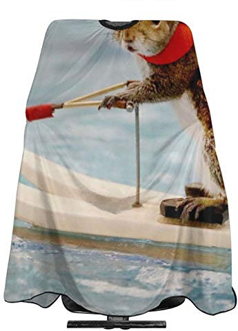 Guarnizioni caffettiera giulia 6 tazza_______ molle caffettiera blister 3 pezzi silicone dima