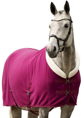 EQUILYX® Abschwitzdecke Pferd mit Teddy-Kragen und abnehmbaren Kreuzgurten [perfekte Passform] Fleecedecke Stalldecke Transportdecke wärmend feuchtigkeitsabsorbierend atmungsaktiv (Fuchsia, 165cm)