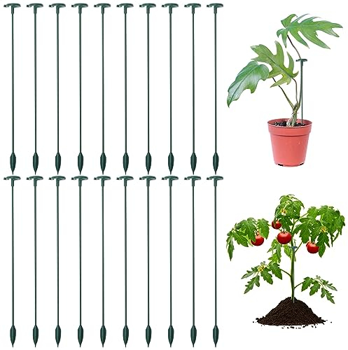 UTMACH 20 Stück 27 cm Pflanzenstützpfahl Pflanzenstützen Pfahl Pflanzenstütze Ring Pflanzenunterstützung Blumenstütze Garten Pflanzenpfähle für Pflanzen Blume Orchideen Pfingstrosen