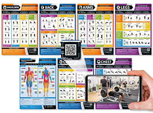 Gym and Muscle Building Workout Posters - Set of 7 - EXTRA LARGE - A1 (841mm x 594mm) - Laminated - Exercise & Fitness Charts - Includes Video Training Support by Posterfit