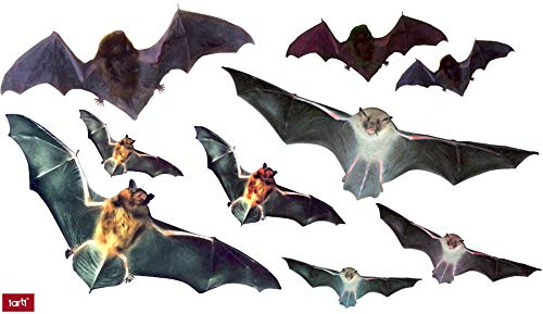 1art1 Fledermäuse Fledermaus Set Wand-Tattoo | Deko Wandaufkleber für Wohnzimmer Kinderzimmer Küche Bad Flur | Wandsticker für Tür Wand Möbel/Schrank 110x35 cm