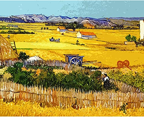 Tococoo, Kit de peinture par numéros de Vincent Van Gogh Masterpiece Series pour adultes débutants sur toile roulée 40,6 x 50,8 cm avec cadre (récolte à La Crau)