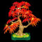 BRIKSMAX 2.0 Light Kit for Lego Japanese Red Maple Bonsai Tree -Innovative Led Lighting Compatible with Lego The Botanical Collection 10348 - Not Included Lego Set