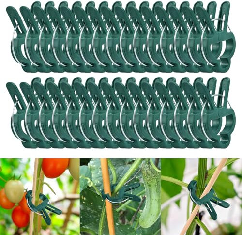 DIELIANHUA 50 Stück Pflanzenclips, Pflanzenclips für Kletterpflanzen, Pflanzenklammern, Klammern für Pflanzen, Gartenpflanze Clips Wiederverwendbar, Pflanzen Klammern für Tomaten Gemüse(45 X 30 MM)