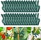 DIELIANHUA 50 Stück Pflanzenclips, Pflanzenclips für Kletterpflanzen, Pflanzenklammern, Klammern für Pflanzen, Gartenpflanze Clips Wiederverwendbar, Pflanzen Klammern für Tomaten Gemüse(45 X 30 MM)