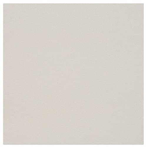 Clairefontaine 93981C Packung (mit 10 Bögen Pappe, 60 x 80 cm, 2,5 mm, 1625 g, ideal für Modellbau, leicht und glatt, 100% recycelt) 10er Pack grau