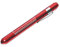 Medizinische Pen Light Penlight mit Pupillenmesser für Ärzte Pack von 2