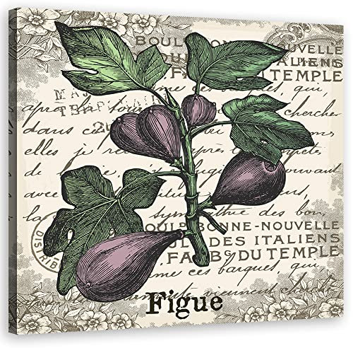 Feeby Quadro su Tela Fico Iscrizione Retrò Vintage 30x30 cm Qualita Fotografica Natura Astrazione viola